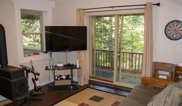 Gameroom with full futon. TV, Wii, darts, and more!