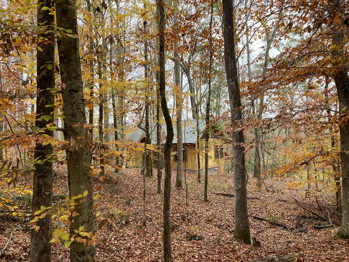 A cabin nestled among tall trees, with golden and brown leaves underfoot, indicating the fall season. The structure features large windows reflecting the forest surroundings, while the wooded area creates a tranquil, natural setting.