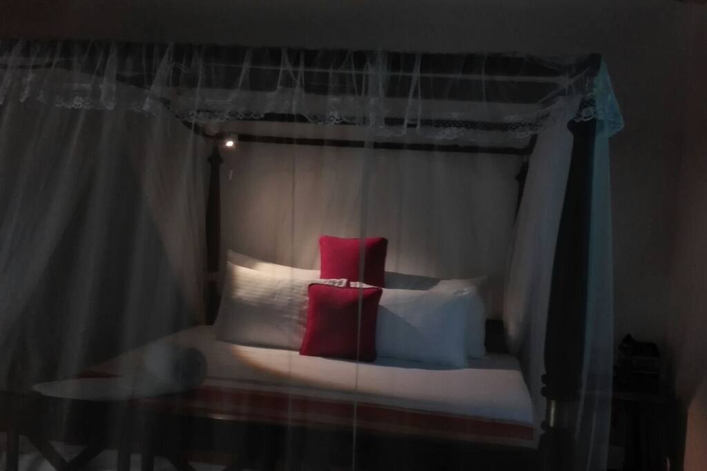 Room 1505