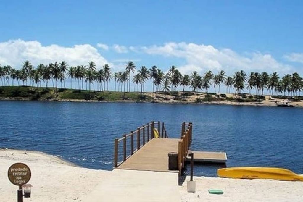 Lagoon Peer