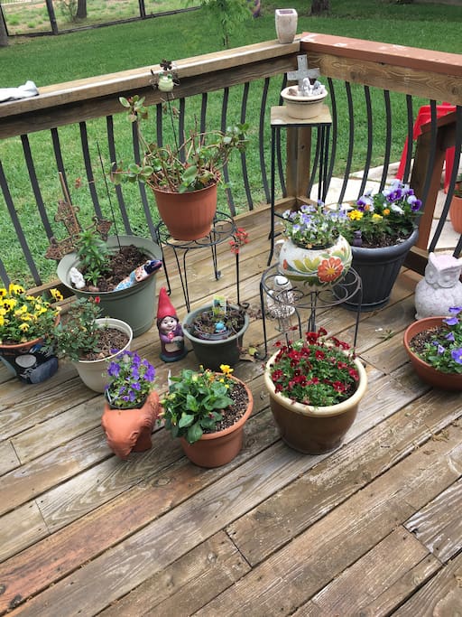 Flowers on deck. Overlooking back yard