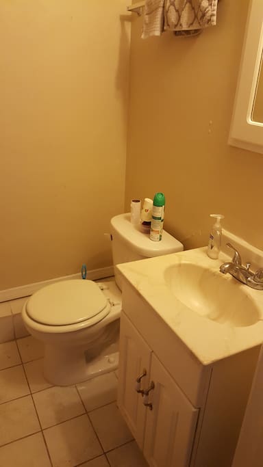 Guest bathroom