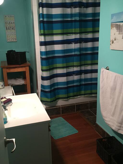 Downstairs bathroom. This is where you shower.