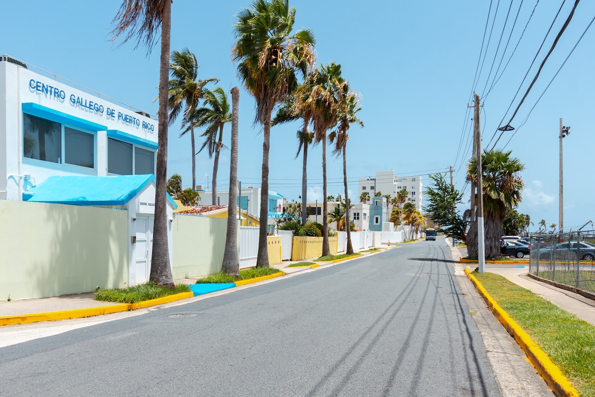 A serene street scene is depicted, lined with tall palm trees gently swaying in the breeze. A bright blue building is visible on the left, with various residential structures appearing in the distance. The road features fresh yellow curbs and utility poles along the edge.