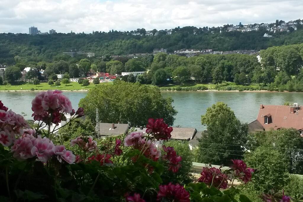 Rheinblick vom WZ (Balkon nicht an Zimmer "Lisa" und "Paul"