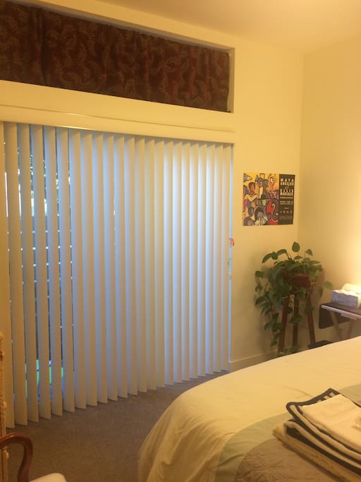 As much light as you need during the day.