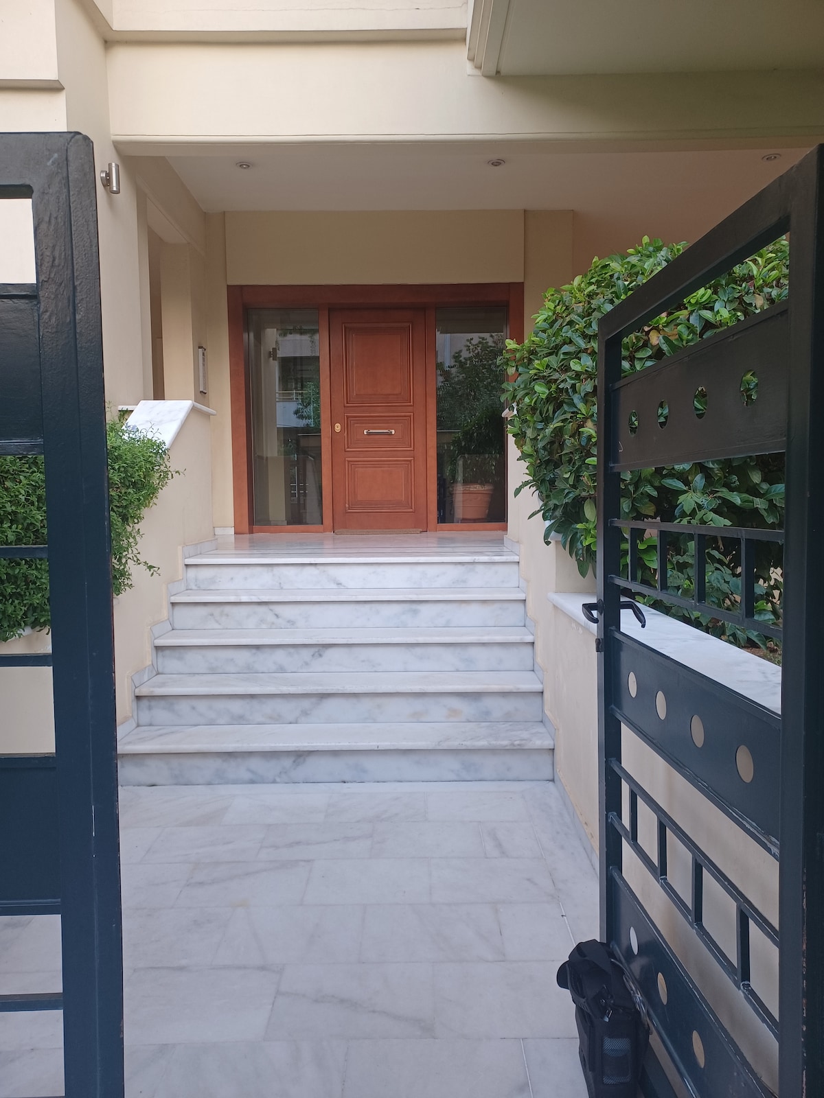 The entrance features a set of wide marble steps leading to a wooden door framed by greenery. The inviting pathway is flanked by well-maintained plants, and a sense of openness is created by the gates positioned on either side.