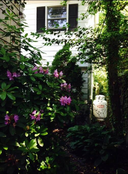 Pathway from the street to the cottage