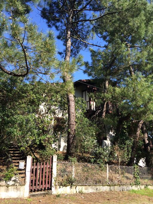 appartement/villa
plein ouest