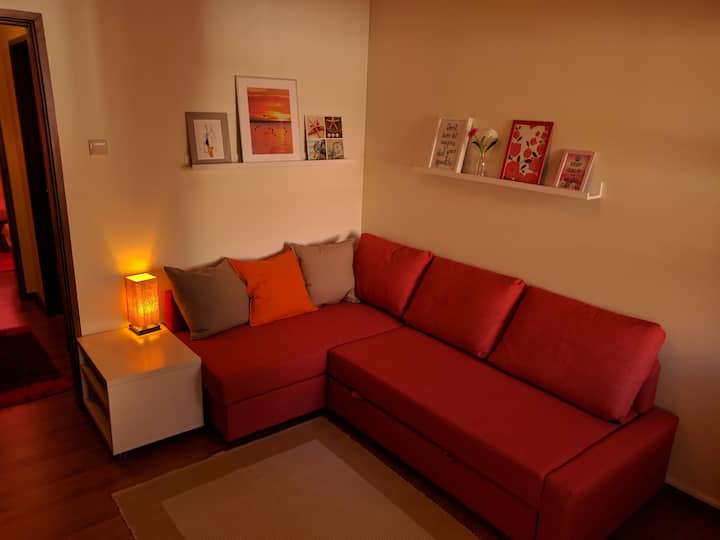 Cozy Porto & Boavista - Metro + Bus + Free Parking - Porto