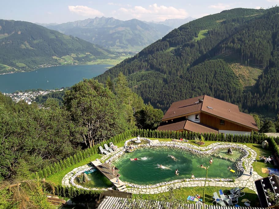 Unser Bio Schwimmteich