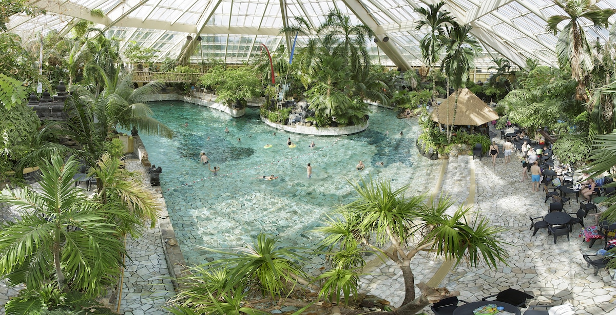 A spacious indoor pool area is surrounded by lush tropical plants and palm trees. Visitors can be seen swimming and relaxing in the clear water. Comfortable seating arrangements are located around the pool, providing a pleasant environment for leisure and enjoyment.