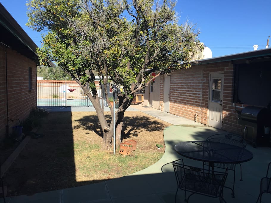 Backyard with a beautiful kumquat tree in the foreground. The building on the right is private storage.