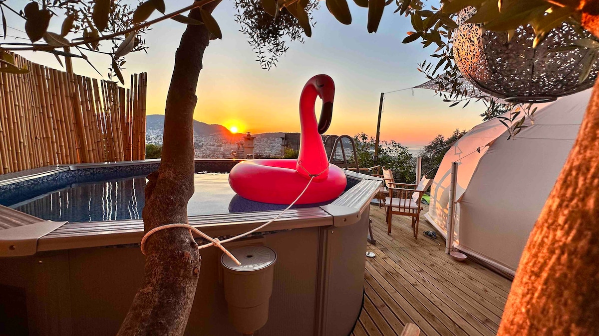 A vibrant pink flamingo float is positioned in an above-the-ground pool, surrounded by wooden decking. The glow of a setting sun casts warm hues across the scene, highlighting the serene outdoor space, which includes a charming seating area and the silhouette of a nearby olive tree.