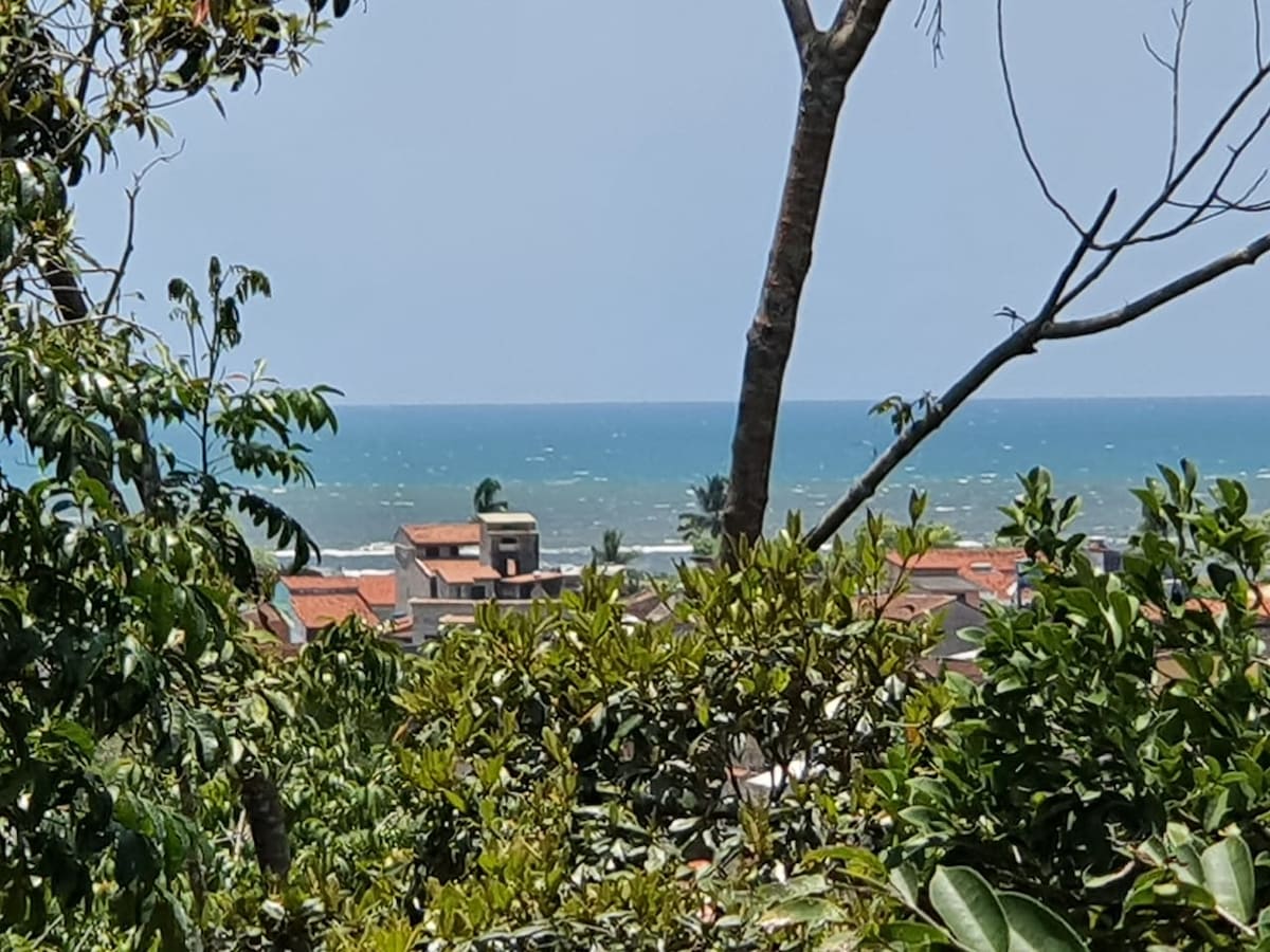 A distant view of the ocean is framed by lush greenery and tree branches. Various rooftops are visible in the foreground, providing a glimpse of the surrounding landscape in this tranquil setting.