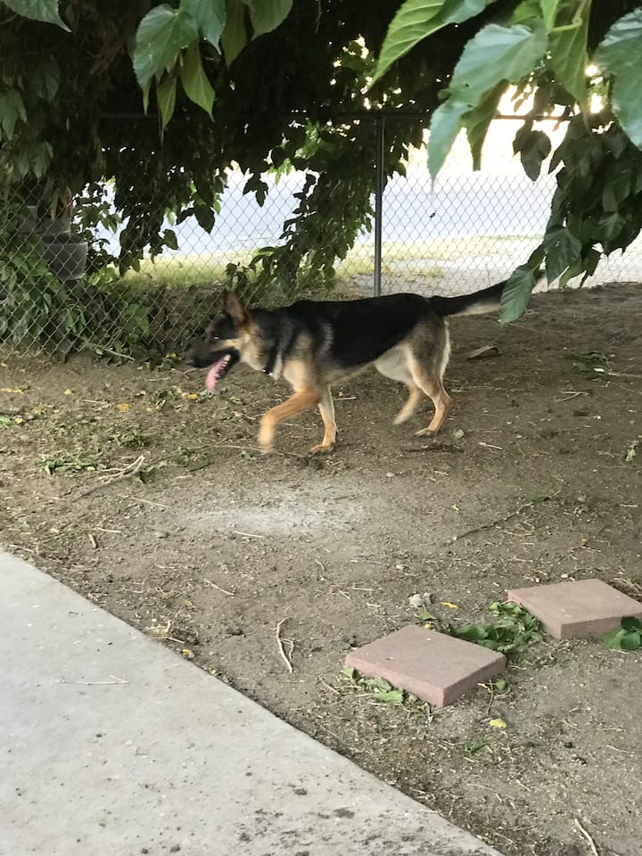 Jacumba Hot Springs Vacation Rentals & Homes California, United