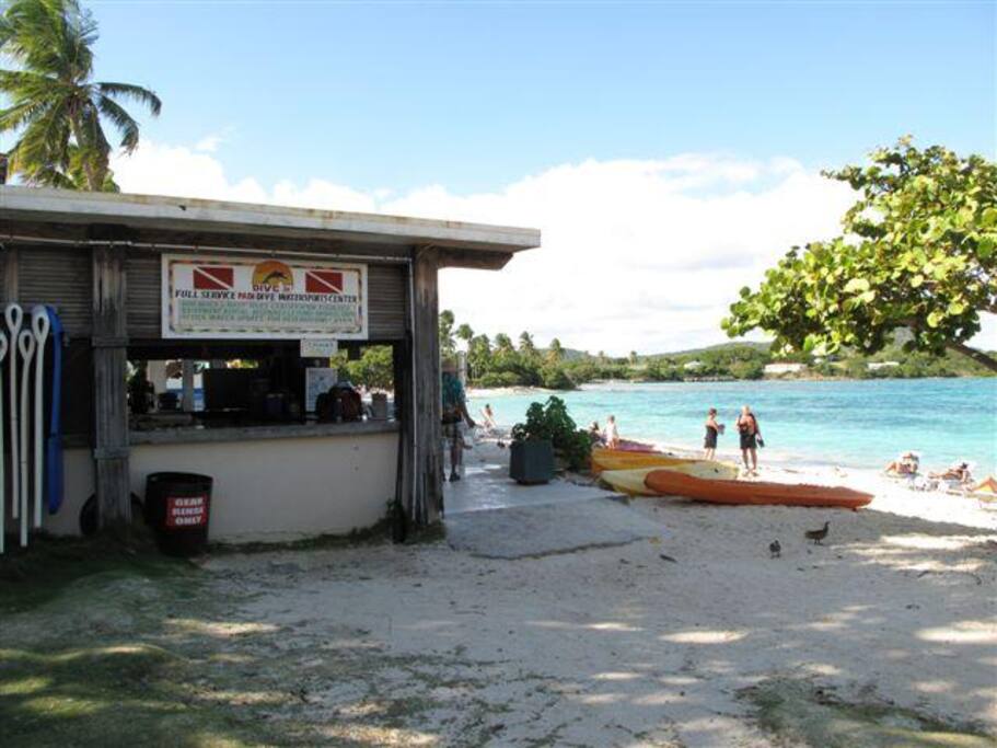 DIVE SHOP
