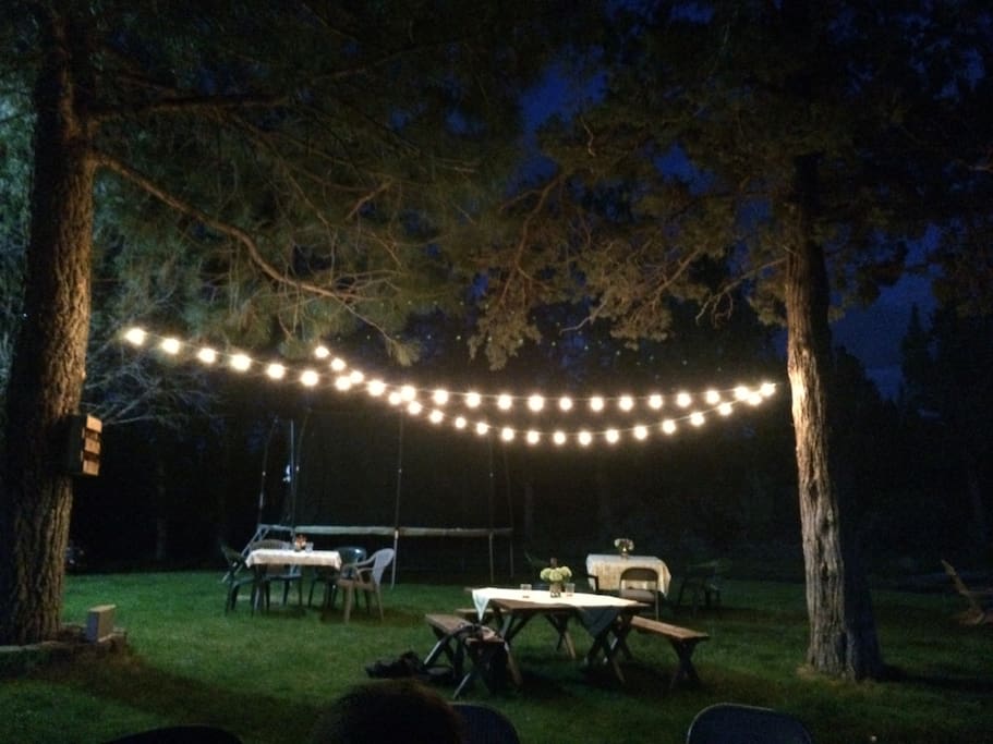 View of the light canopy, picnic tables and stars at night!