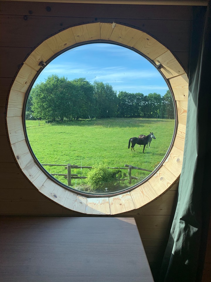 A round window offers a view of the lush green landscape outside, where a horse grazes. The scene is framed by light wooden paneling, enhancing the natural light entering the space.