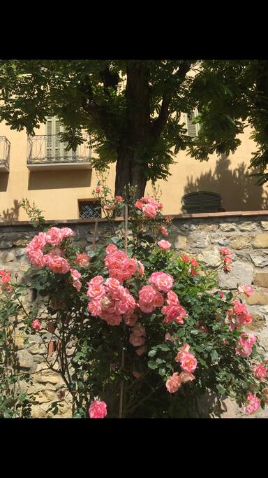 Il nostro giardino