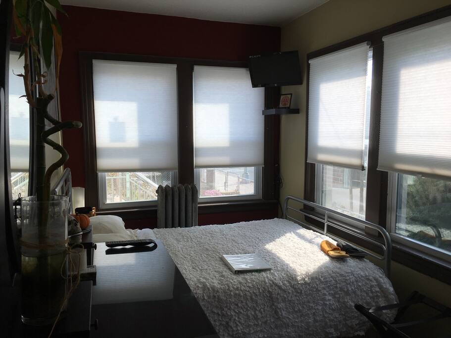 5 windows with cellular blinds, let in plenty of light but keep your room private from passerby's eyesight .