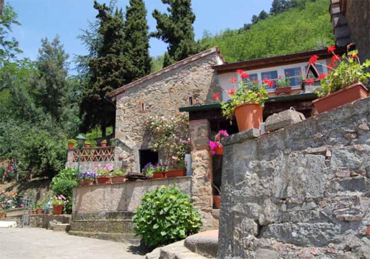 Il Fienile - Meraviglioso Rustico In Pietra In Collina Con Vista Mozzafiato. - Provincia di Lucca