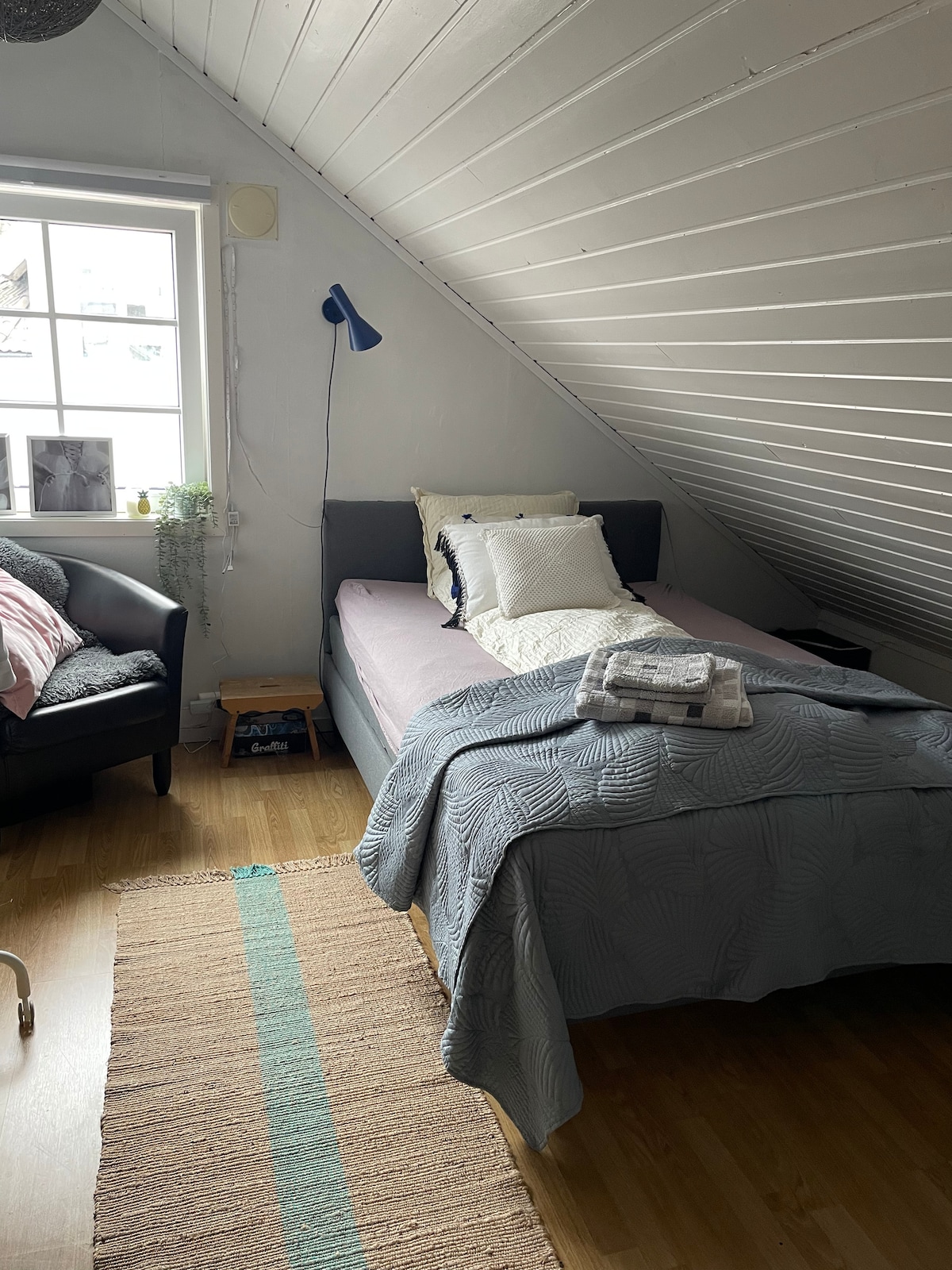 Dormitorio 3 (140 camas) con acogedor techo inclinado y paredes de colores brillantes