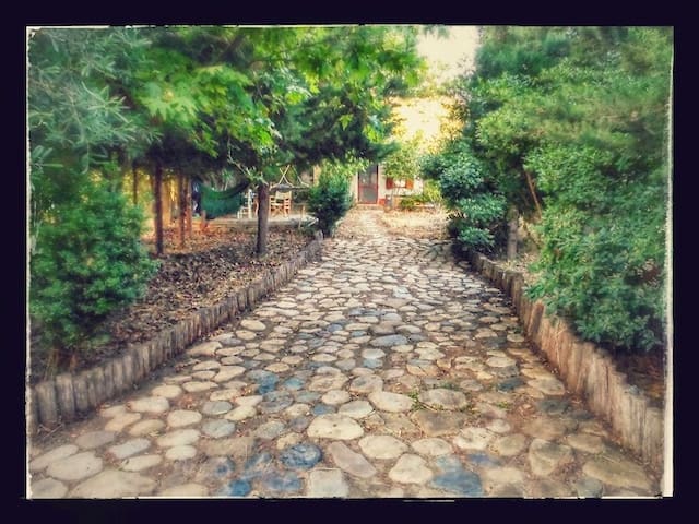 ΆΛΦΑ-ΆΛΦΑ  Bungalows Philoxenia