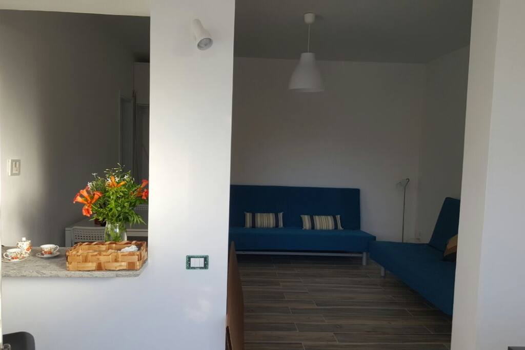 INGRESSO SOGGIORNO CON I DUE DIVANI LETTO MATRIMONIALI