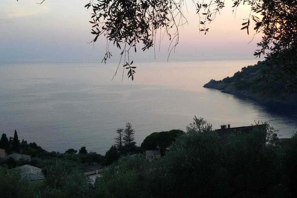 Panorama dal giardino