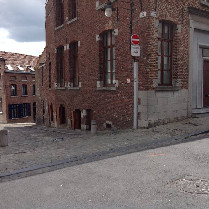 Mons locations de vacances et logements Wallonia, Belgique Airbnb