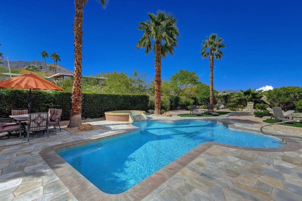 Pool to Palm Trees