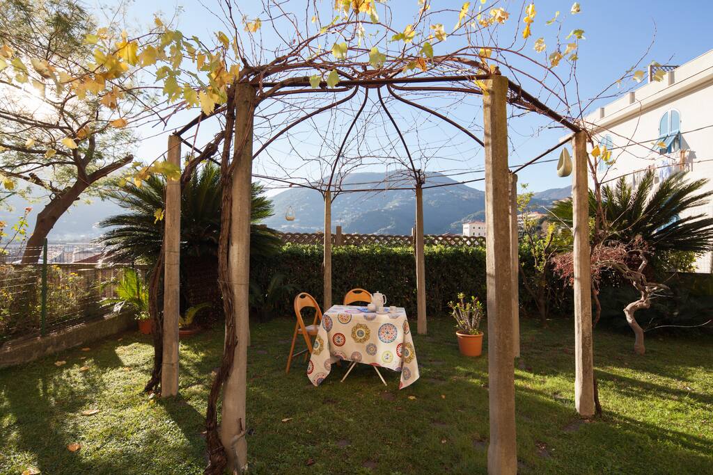 sunny garden