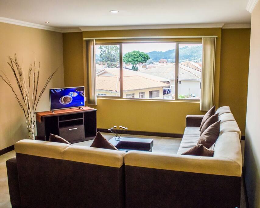 Mountain view from living area