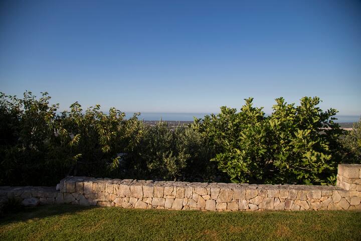 Il mio Paradiso…… gallery image 3