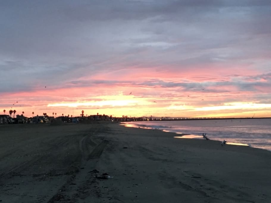 The Beach right across the street...