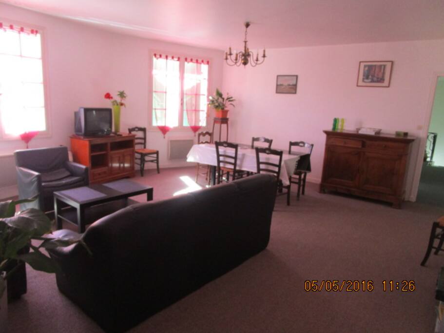 salon/salle à manger, television,2 canapés ,jeux,table pour 8