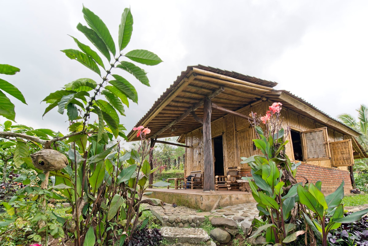 The sustainable cabin is surrounded by lush tropical plants and flowers, featuring a spacious porch supported by wooden beams. Its rustic design includes bamboo walls and a thatched roof, integrating seamlessly with the natural environment. The cabin invites guests to enjoy the tranquil rural setting.