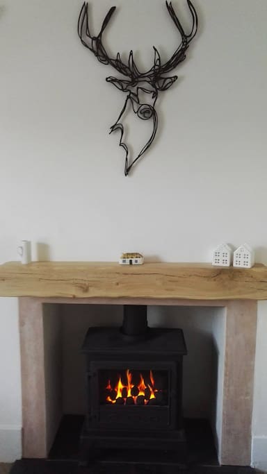 Modern gas fire