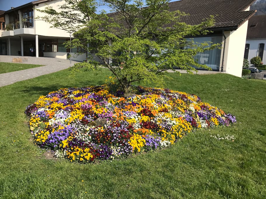 Blumenbeet am See