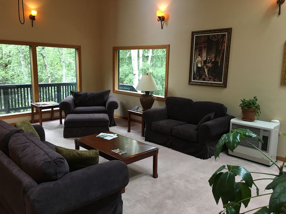 The den - downstairs