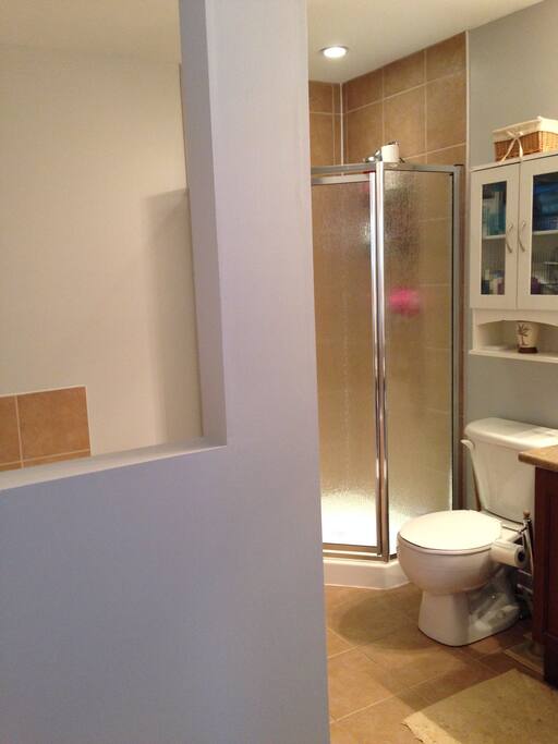 Master bedroom private bathroom