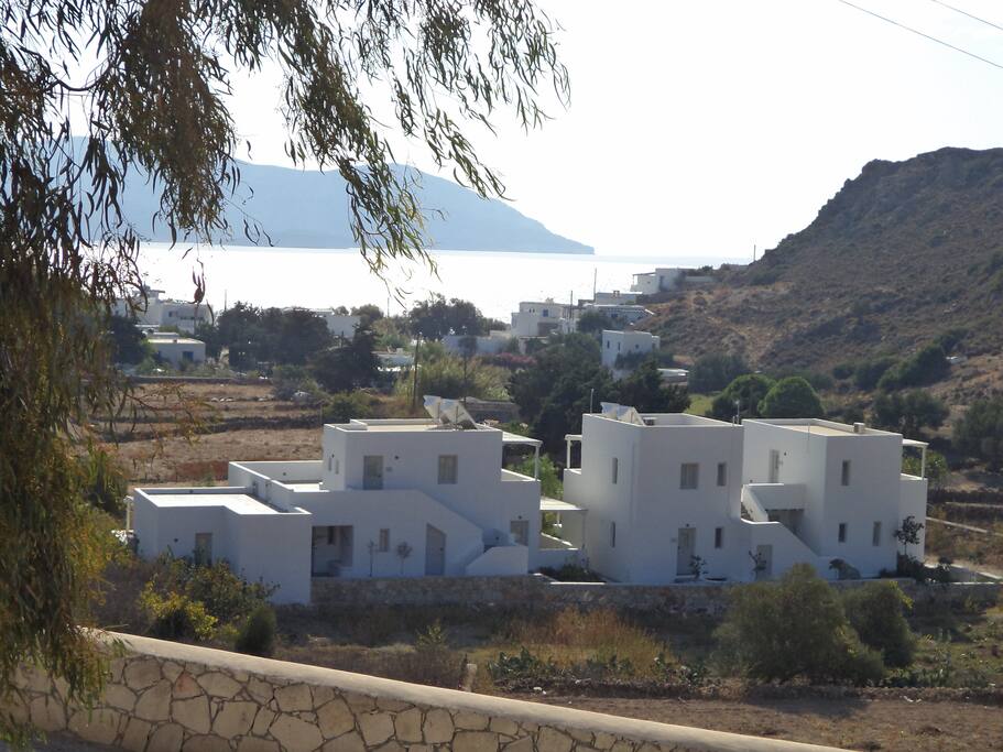 Echinousa complex
