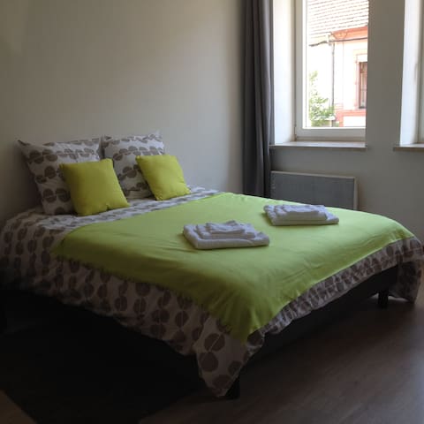 The chestnut - spacious studio in the city center