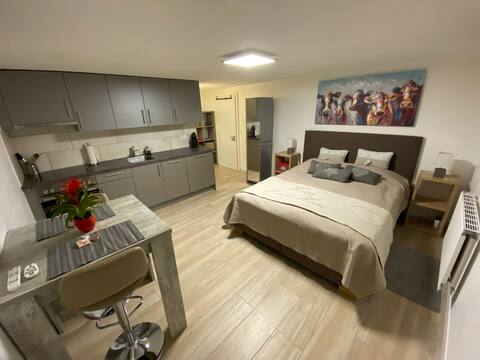 Beautiful Studio above Martigny