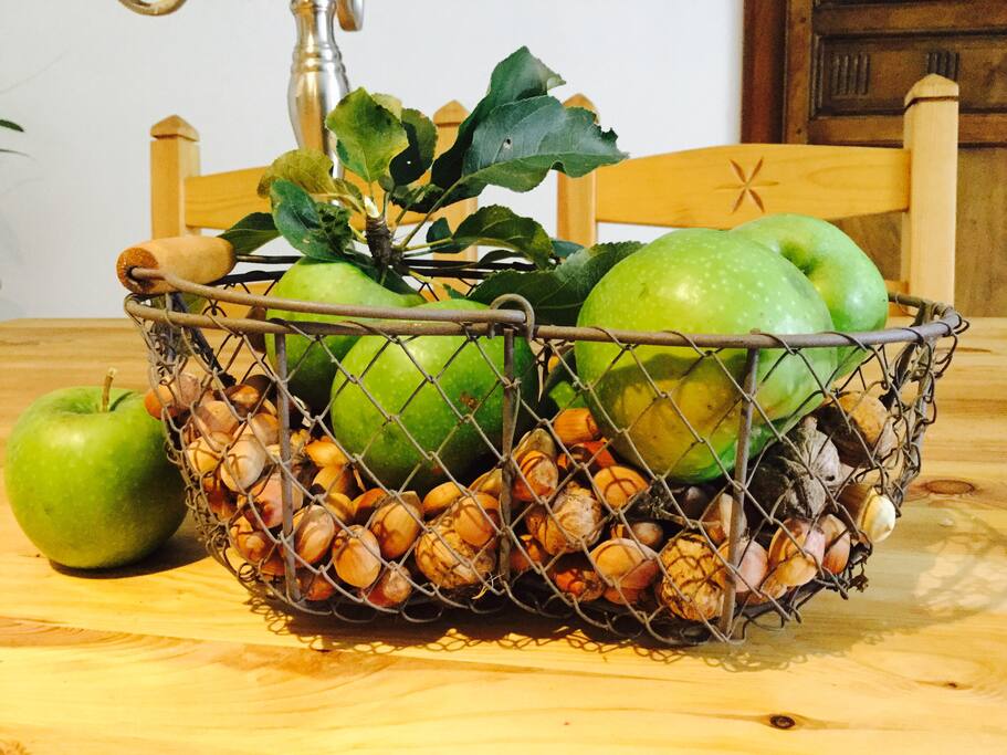 Nous arrivons tout droit du jardin... allez chercher nos copines !