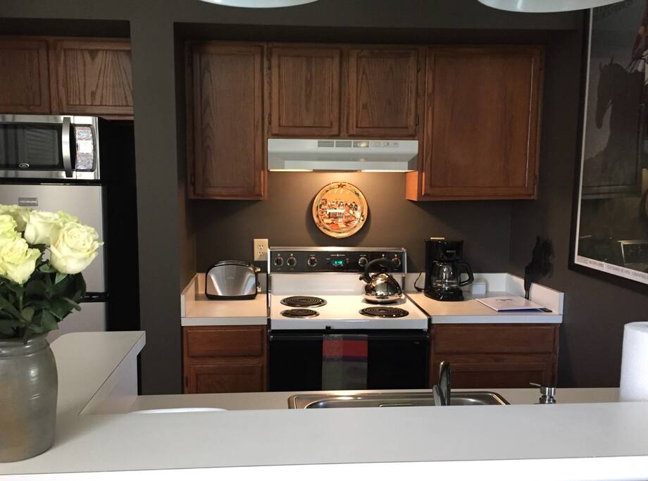 Kitchen is fully stocked; some snacks and drinks provided as well.