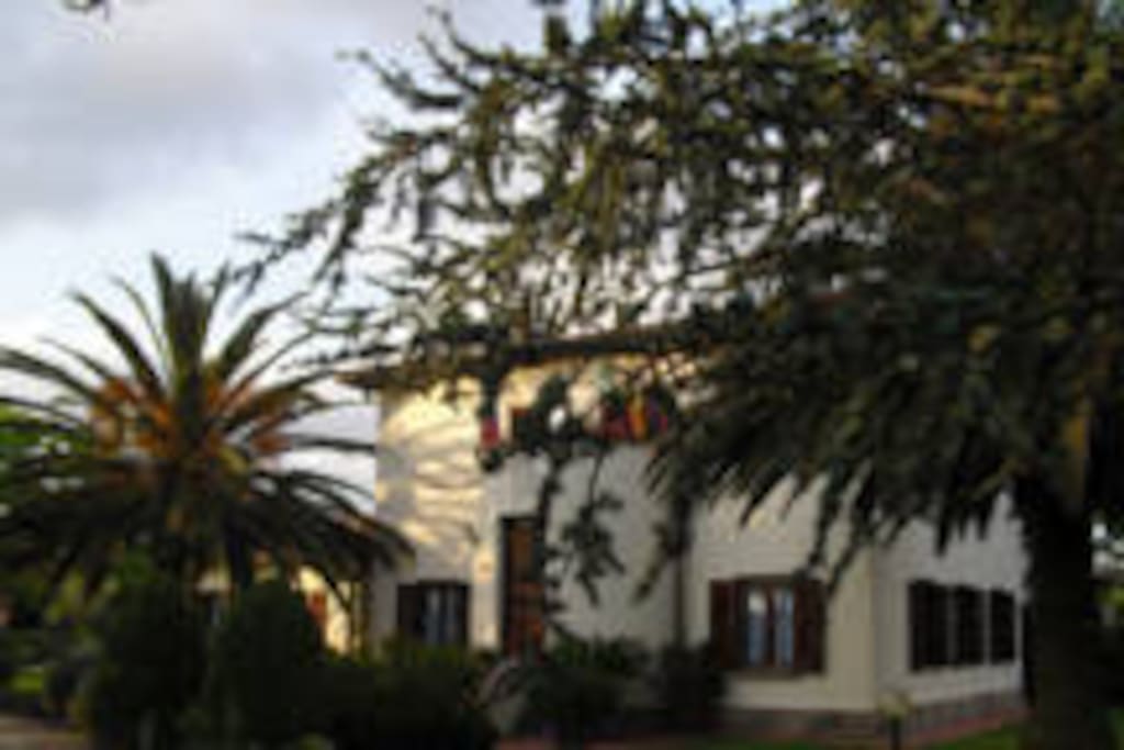 the main building and reception with palm