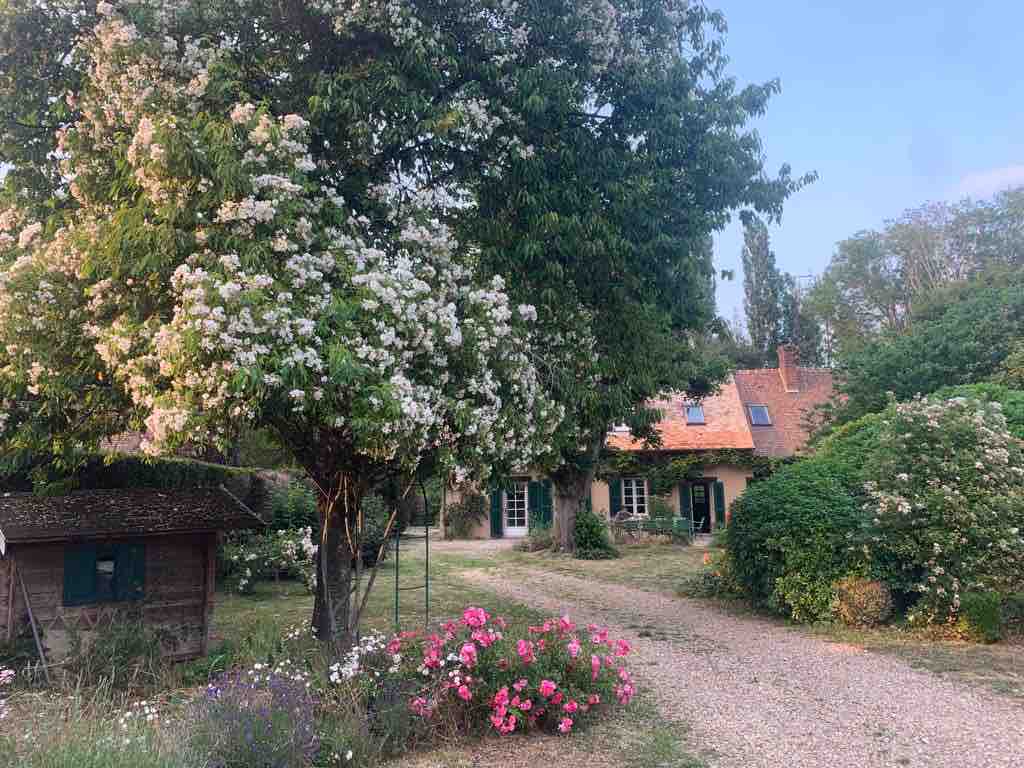 The exterior of the house is surrounded by lush greenery and blooming flowers, creating a serene ambiance. A gravel pathway leads up to the entrance, flanked by well-maintained gardens. A large tree provides shade, adding to the inviting atmosphere of the property.