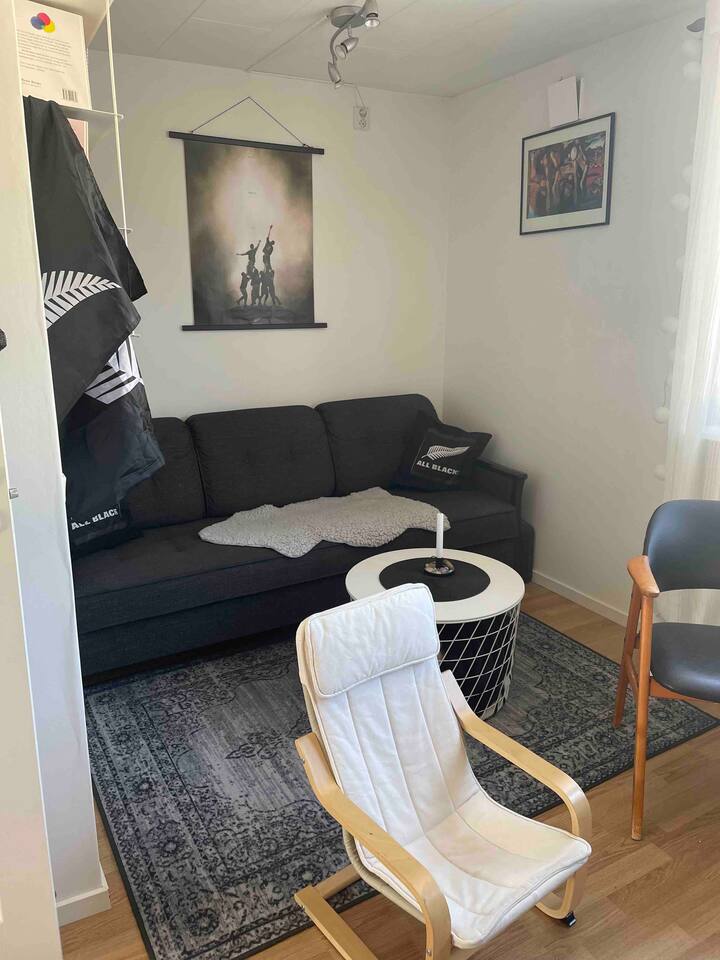 ソファベッドのあるゲストルーム